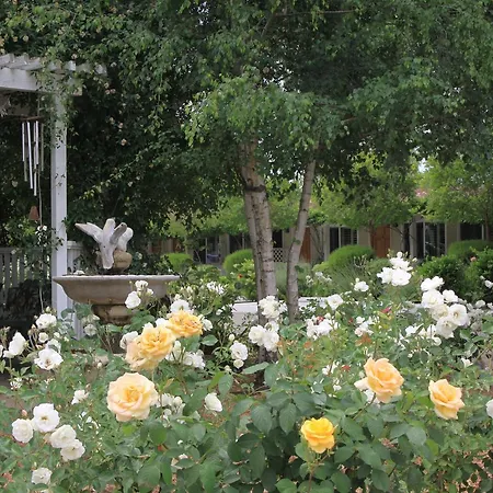Meadowlark Inn-2